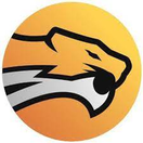 Wild - logo