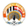 Хибернианс - logo