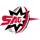 Sparking Arrow Gaming - logo