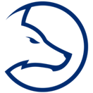 Team LDLC - logo