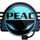 PTE PEAC - logo