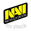 TI1 Natus Vincere - logo