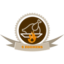 4 Zoomers  - logo