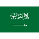 Saudi Arabia - logo