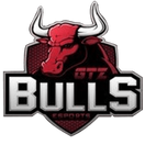 GTZ Bulls Esports - logo