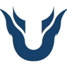 Team Unique - logo
