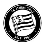 Штурм - logo