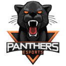 Panthers - logo