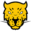 Jaguares - logo